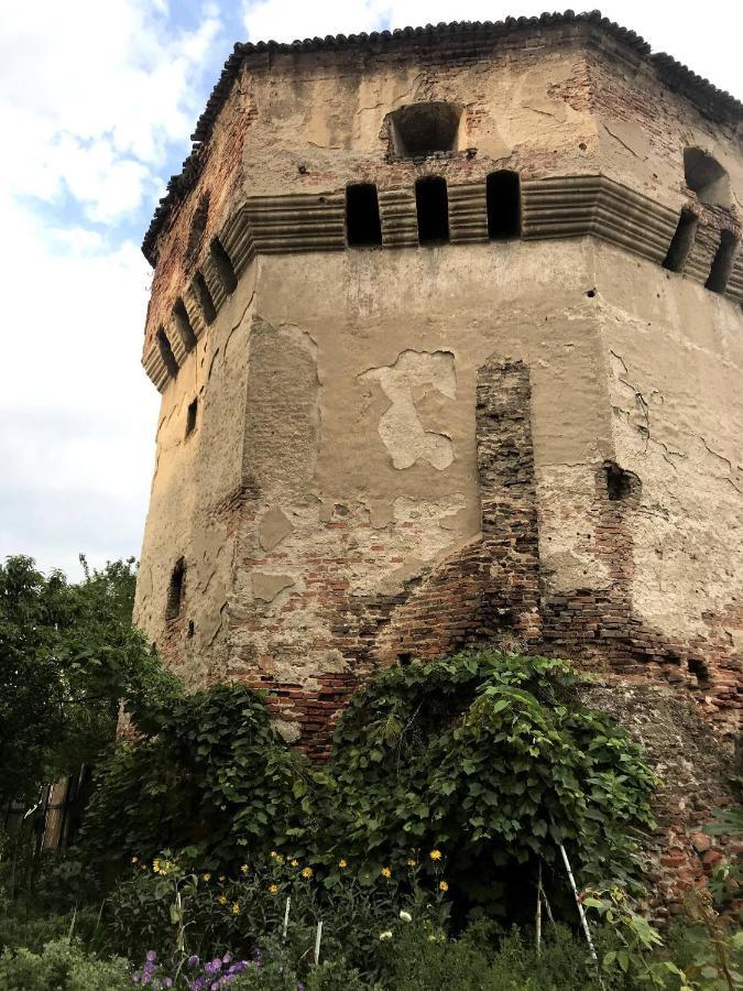 Tanners Tower Condo With A Fireplace Sibiu Dış mekan fotoğraf